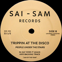 Trippin' At The Disco (DJ Day)